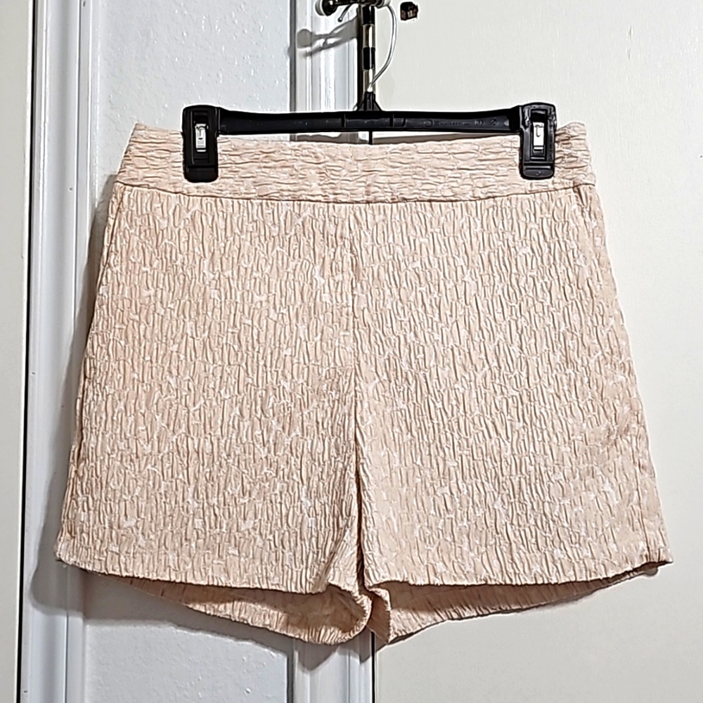 Express Dressy Shorts